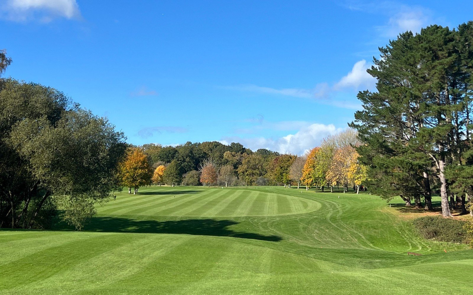 A mown golf fairway between autumn trees under a blue sky at Mannings Heath in England