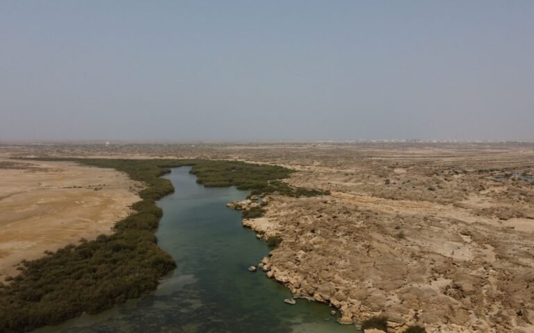 A tidal channel lined with mangroves winds through flat arid ground at Al Wajh Lagoon on Saudi Arabia