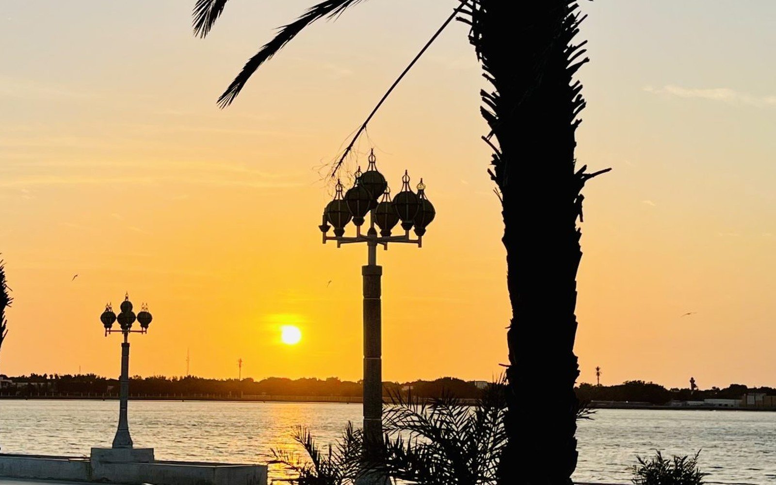The sun setting over calm water behind a palm tree and ornate street lamps on a waterfront promenade, with a low shoreline on the horizon