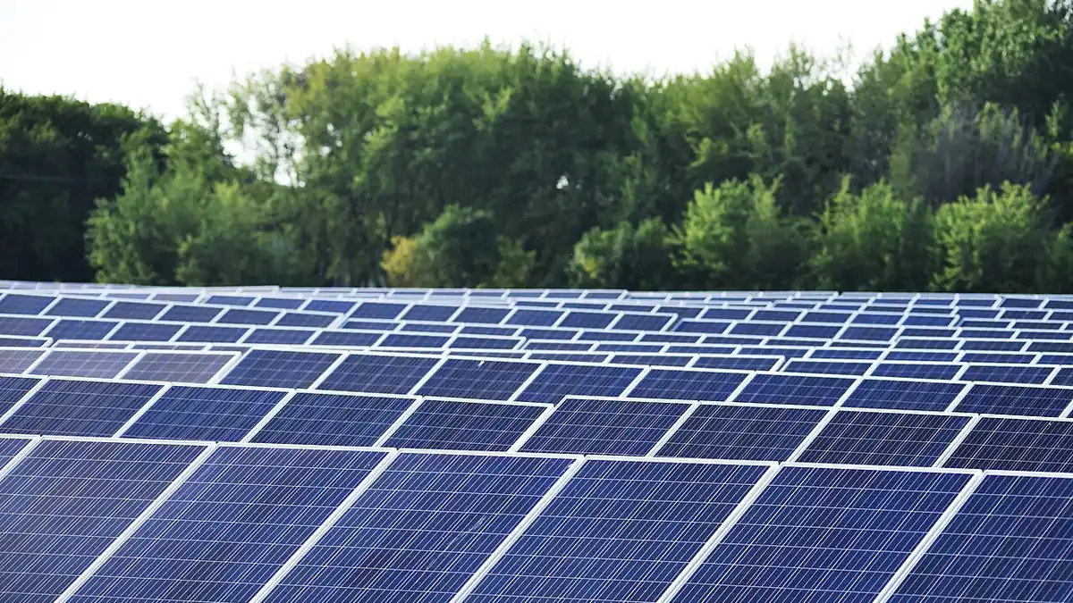 Rows of blue solar panels on frames stretching across a field in front of a line of green trees