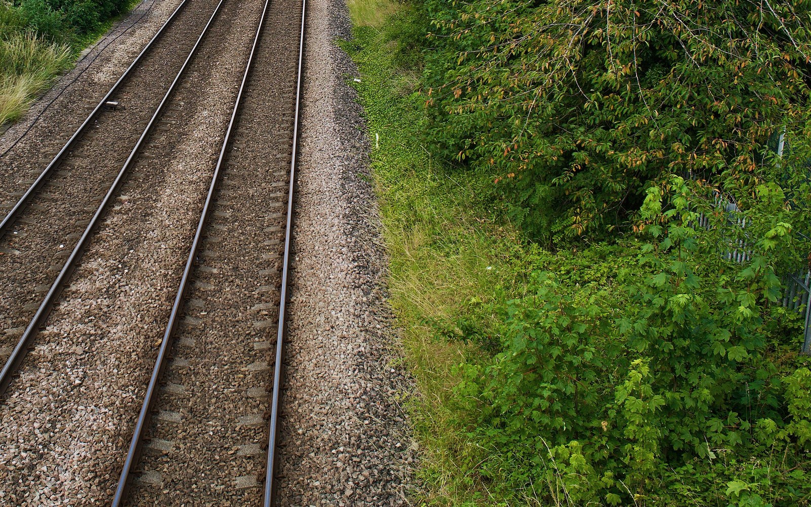 Two straight railway tracks on stone ballast running away from the camera, with dense green trees and shrubs along the right-hand side